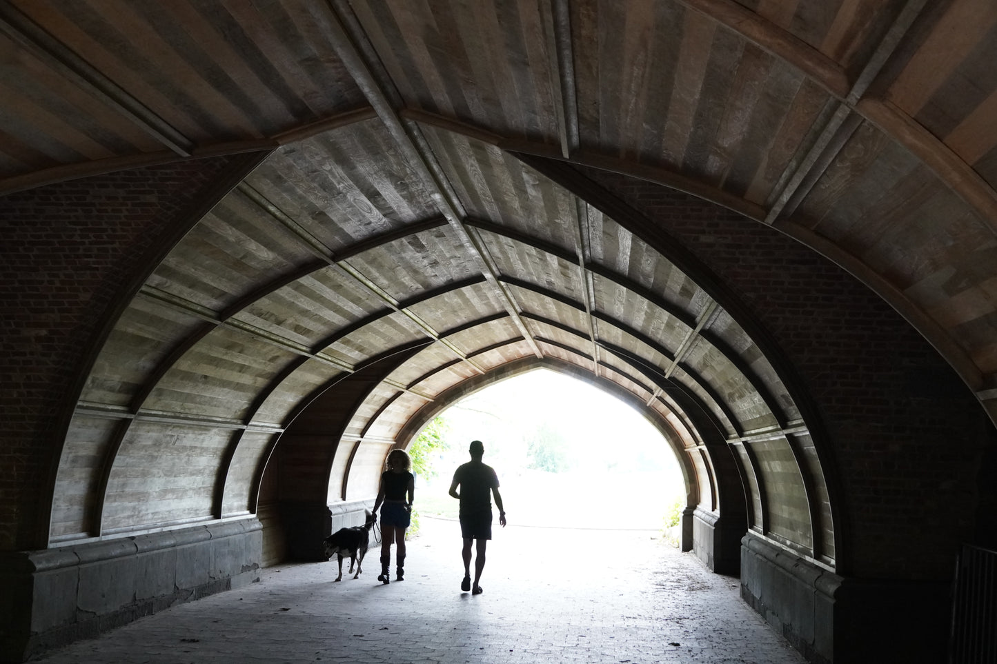 Prospect Park Tunnel with 3d stereo anaglyph