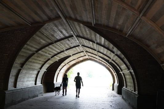 Prospect Park Tunnel with 3d stereo anaglyph